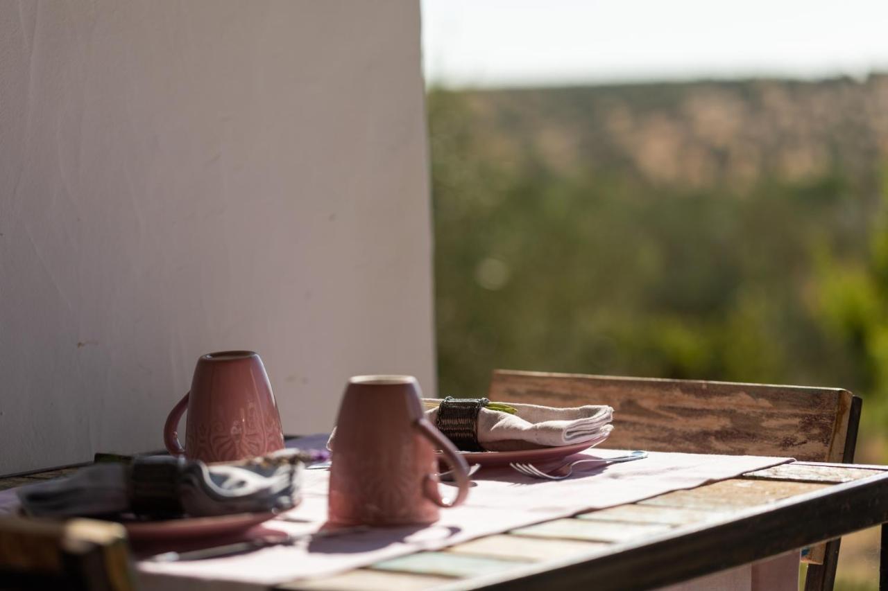 Monte da Estrela - Country House & SPA Moura Extérieur photo